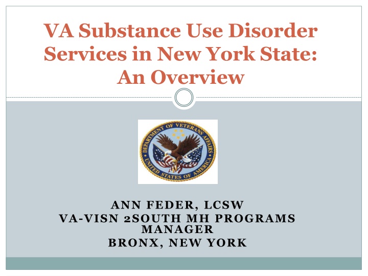 va substance use disorder services in new york