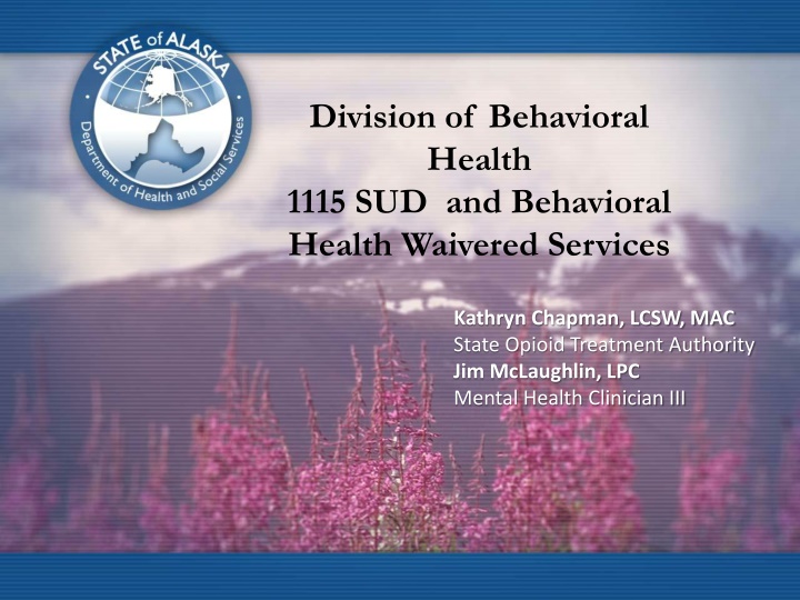 division of behavioral health 1115