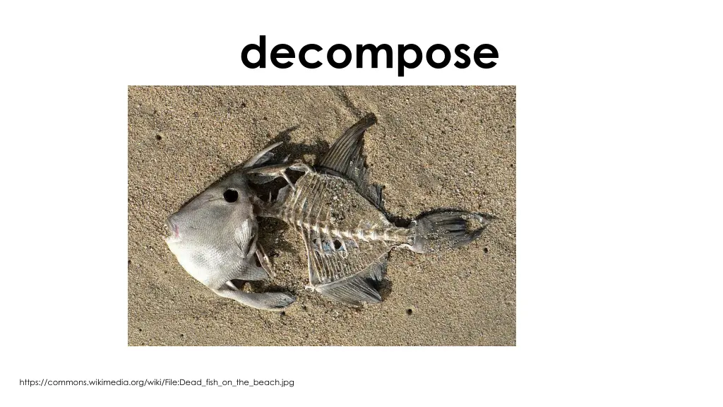 decompose 1