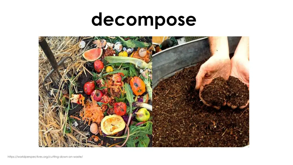 decompose