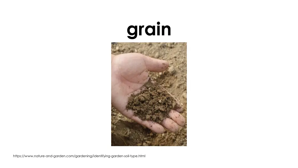 grain