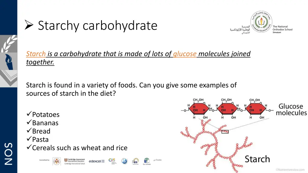 starchy carbohydrate