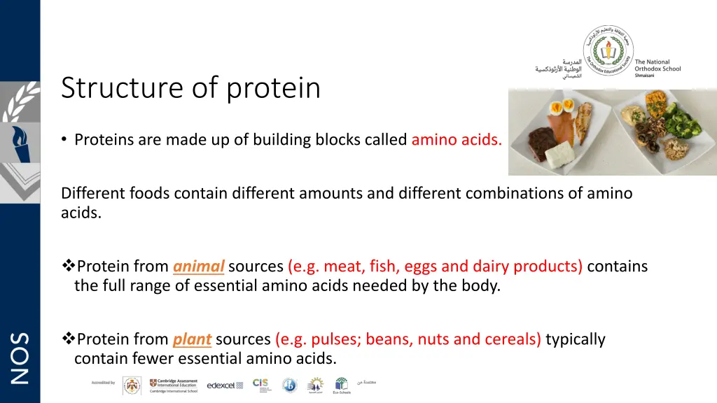 structure of protein