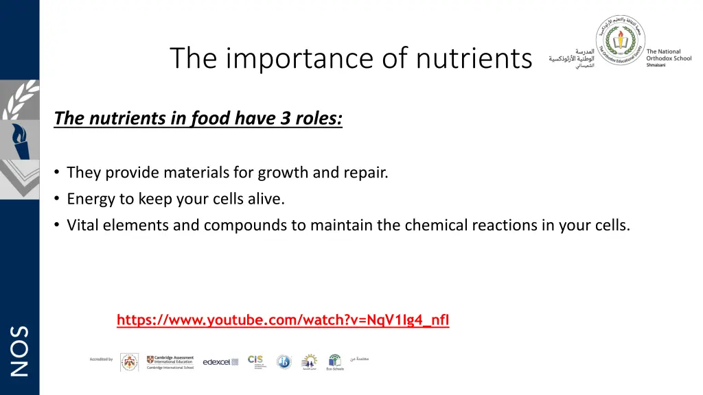 the importance of nutrients