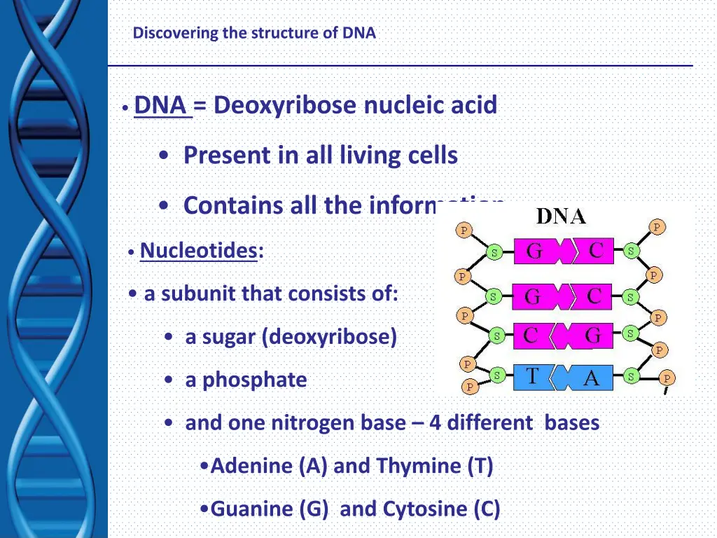 discovering the structure of dna 1