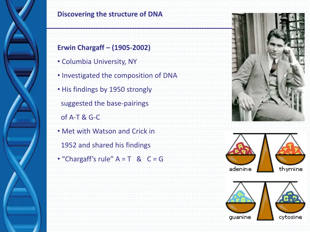 discovering the structure of dna