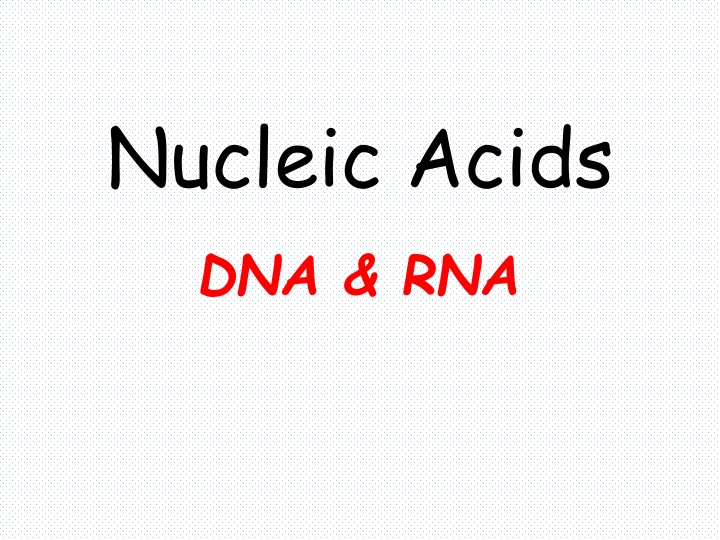 nucleic acids dna rna