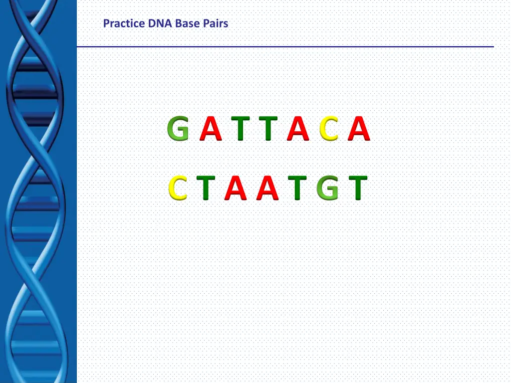 practice dna base pairs