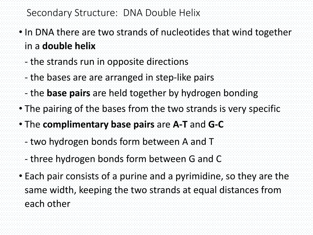 secondary structure dna double helix