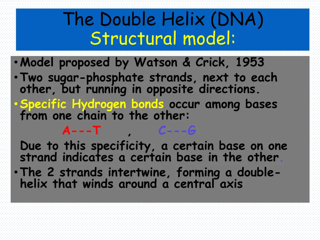 the double helix dna structural model model