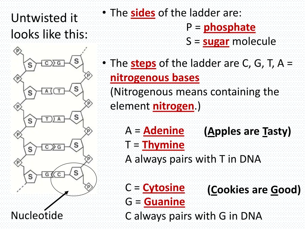 the sides of the ladder are