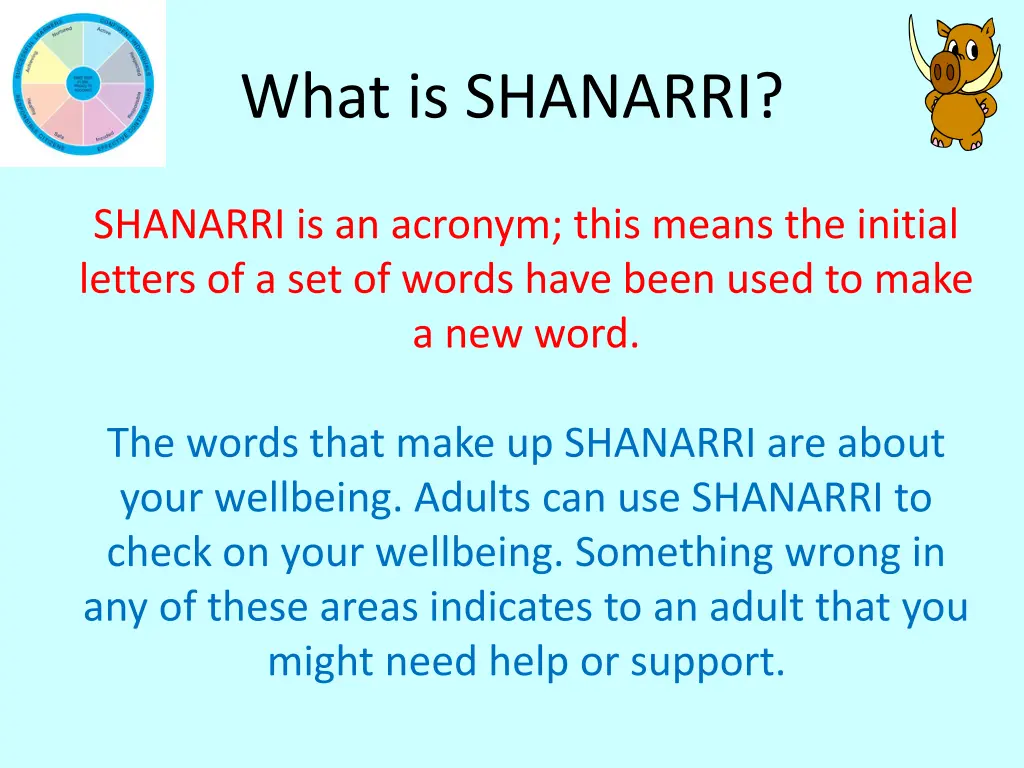 what is shanarri