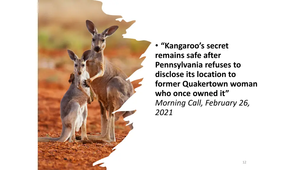 kangaroo s secret remains safe after pennsylvania