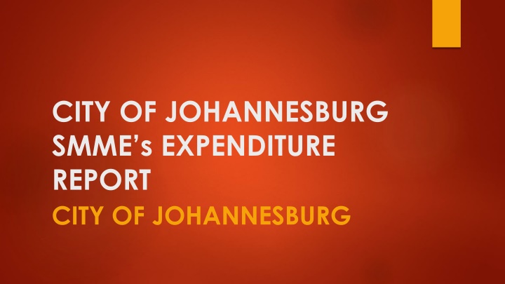 city of johannesburg smme s expenditure report