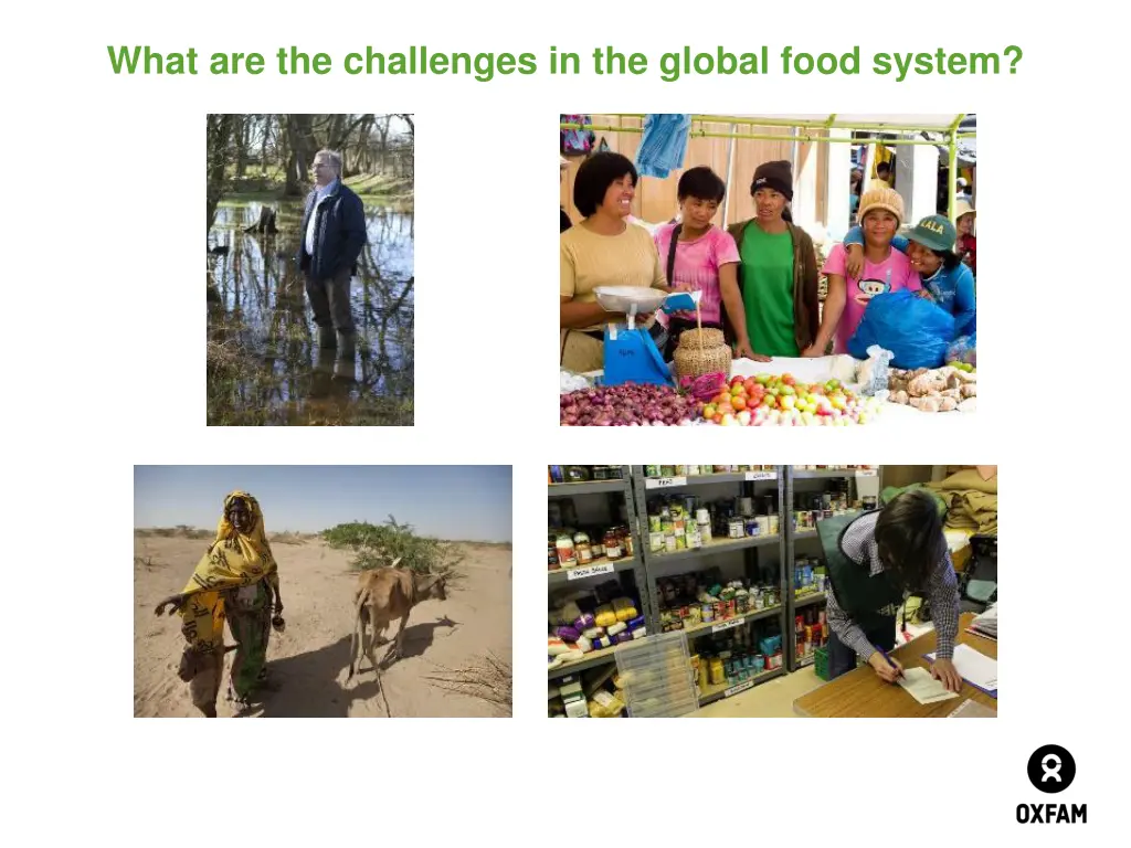 what are the challenges in the global food system