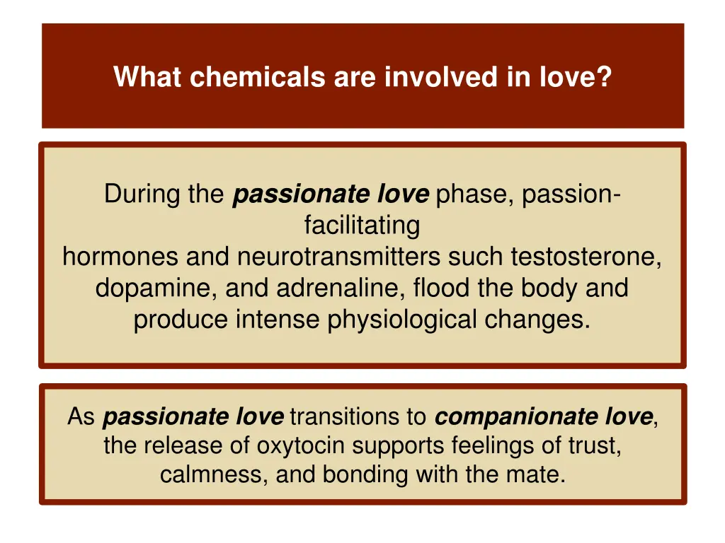 what chemicals are involved in love