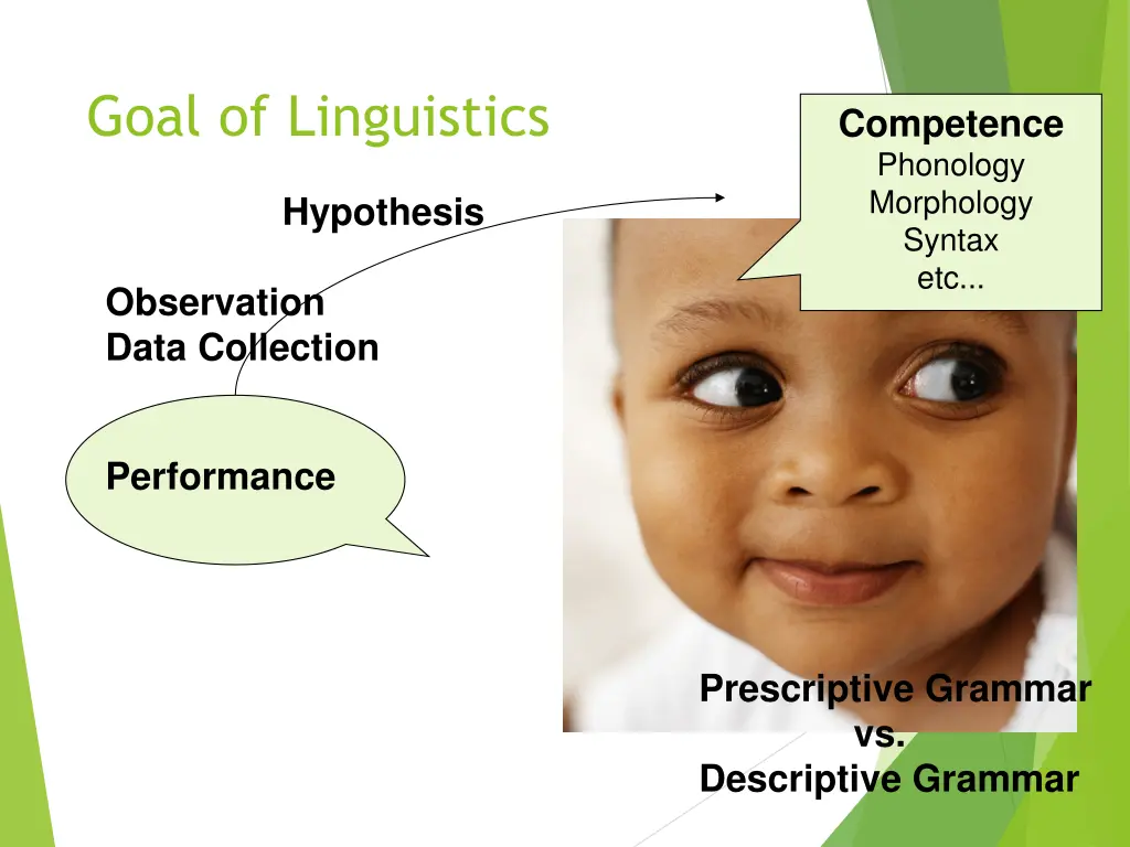 goal of linguistics