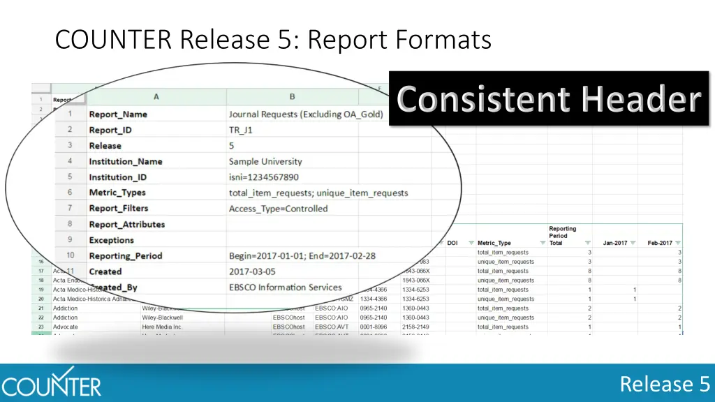 counter release 5 report formats