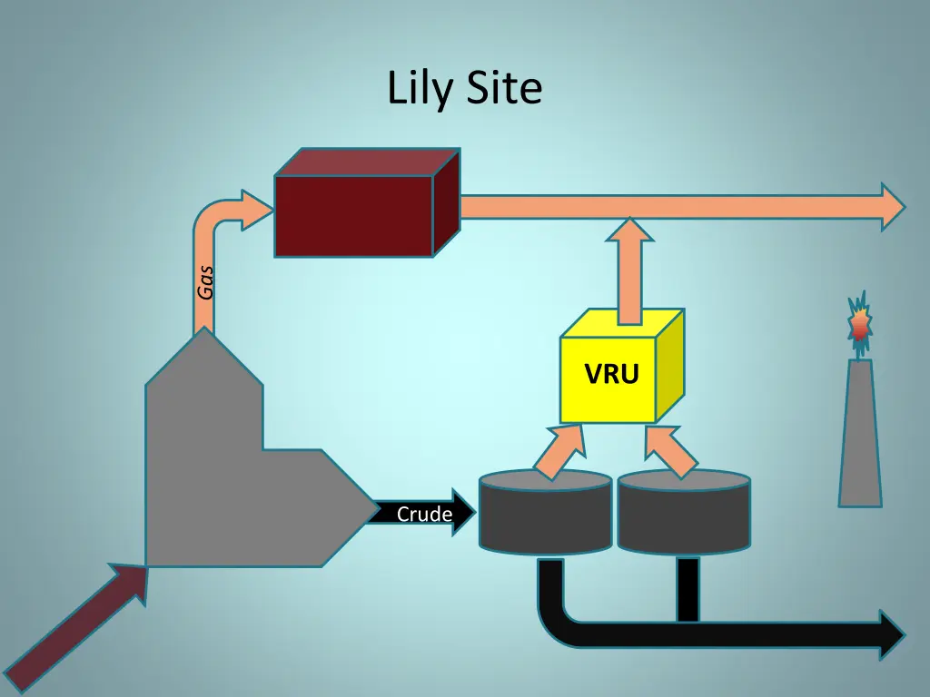 lily site