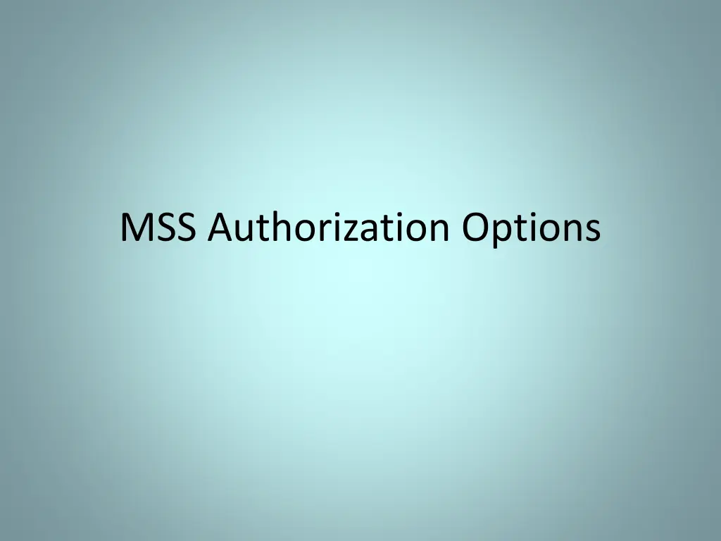 mss authorization options