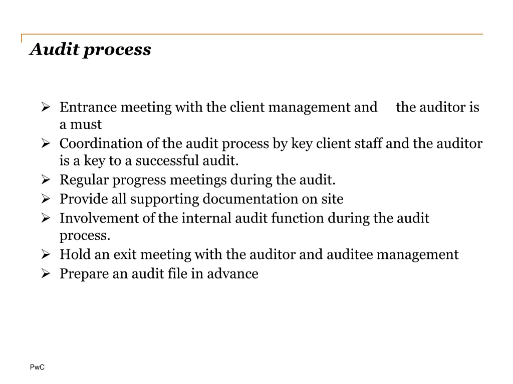 audit process