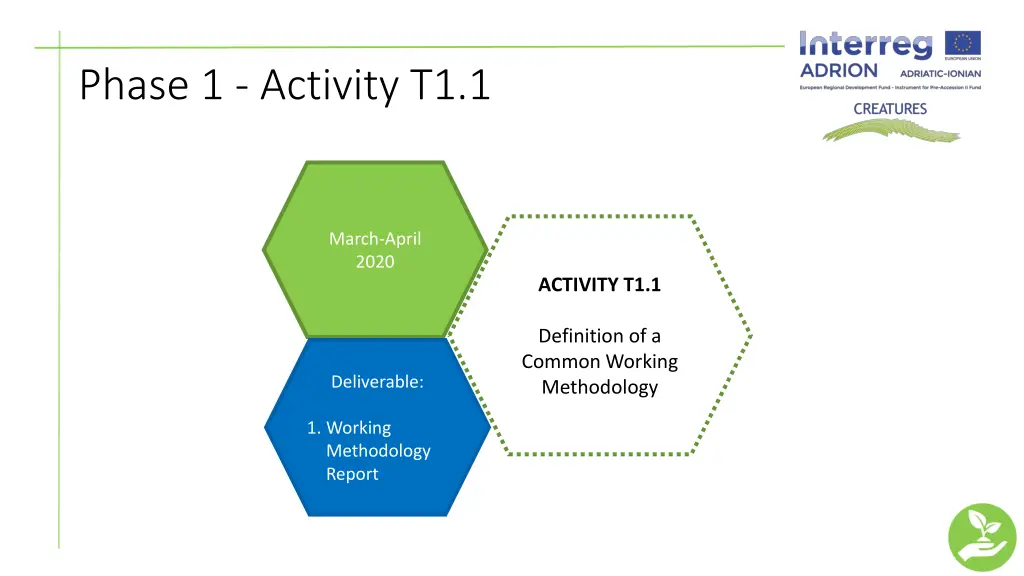 phase 1 activity t1 1