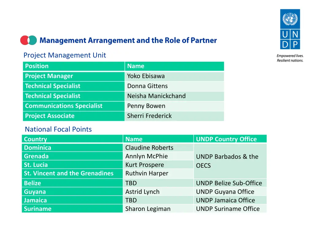 project management unit