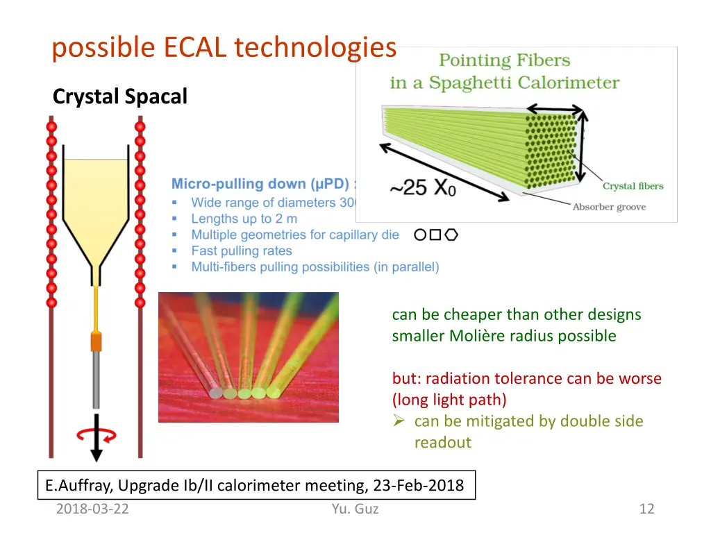 possible ecal technologies 1