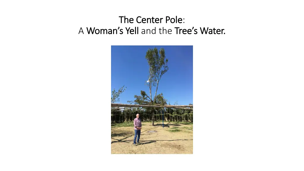 the center pole the center pole woman s yell