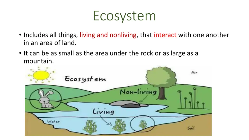 ecosystem