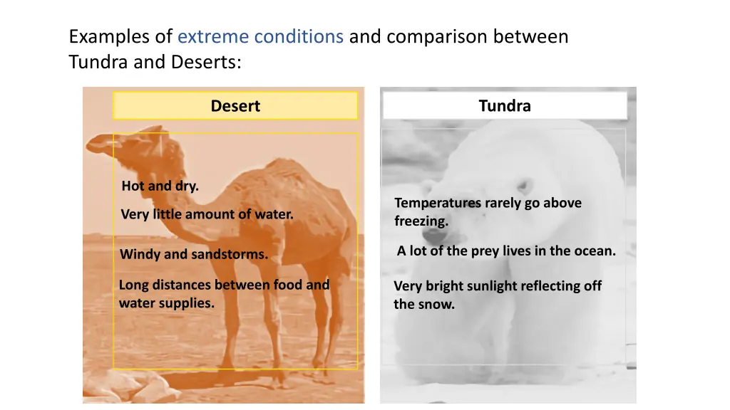 examples of extreme conditions and comparison