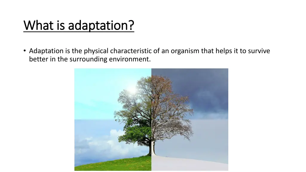 what is adaptation what is adaptation