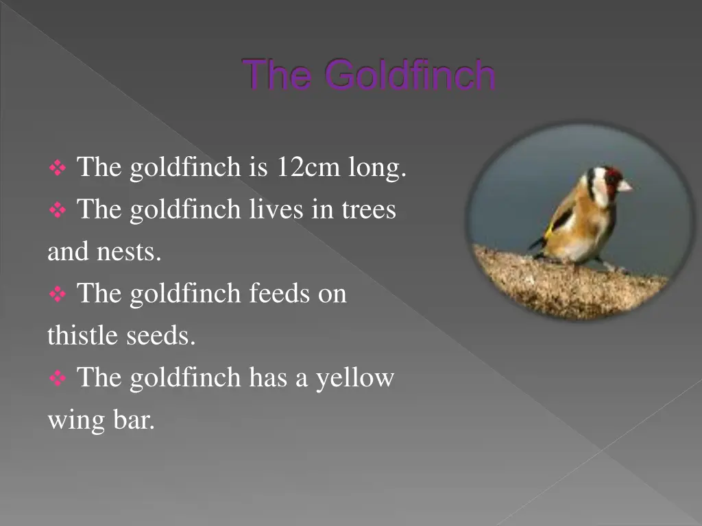 the goldfinch