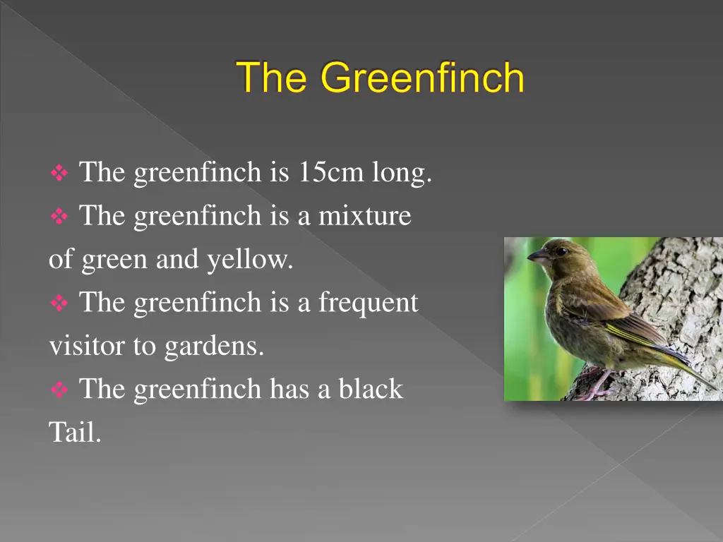 the greenfinch