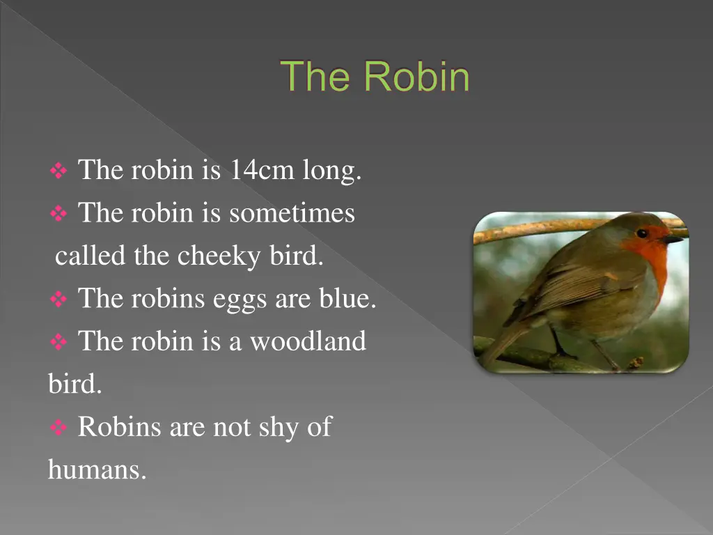 the robin