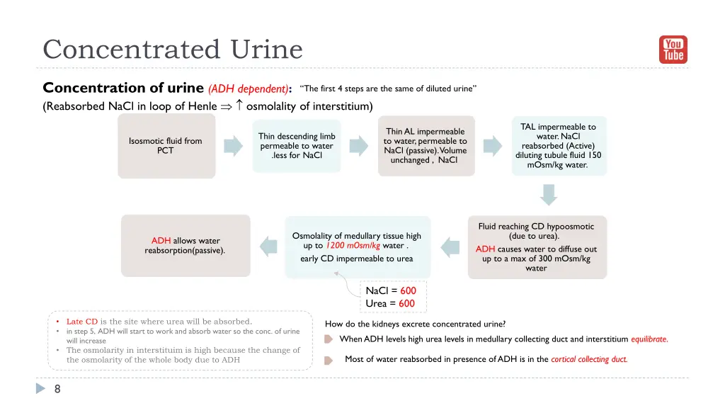 concentrated urine