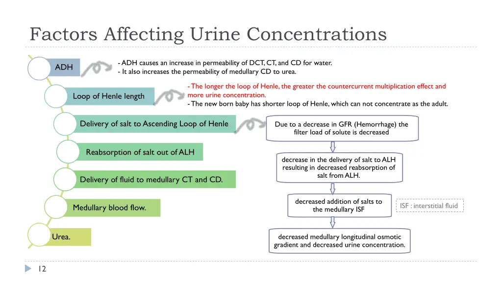 factors affecting urine concentrations