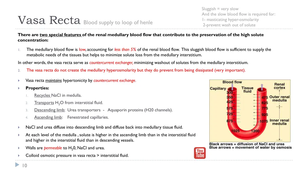 sluggish very slow and the slow blood flow