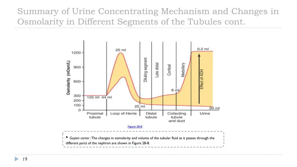 summary of urine concentrating mechanism