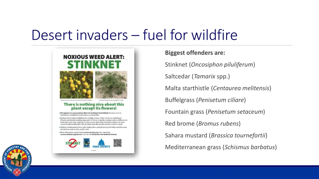 desert invaders fuel for wildfire