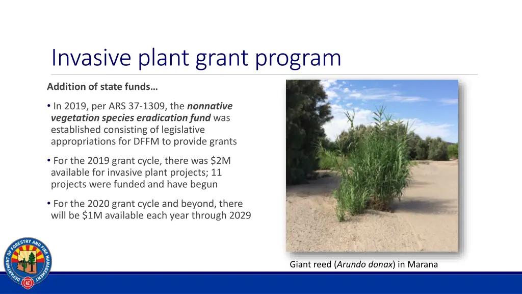 invasive plant grant program