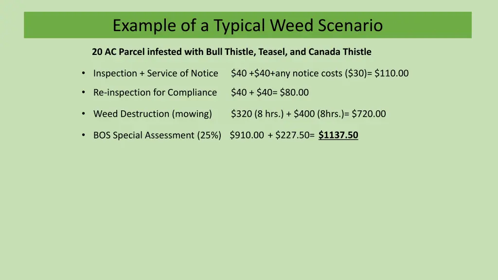 example of a typical weed scenario