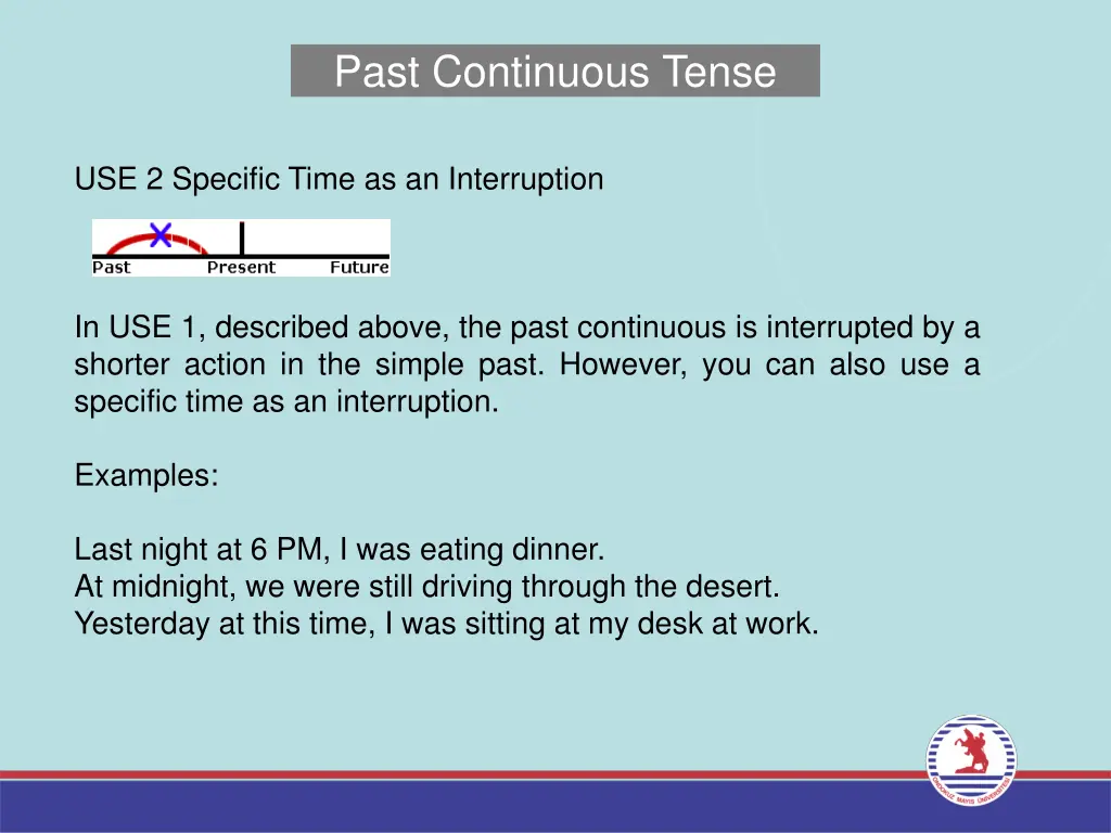 past continuous tense 2