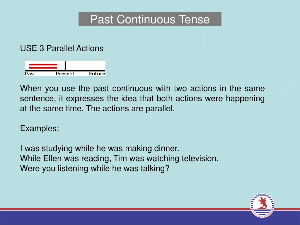 past continuous tense 3