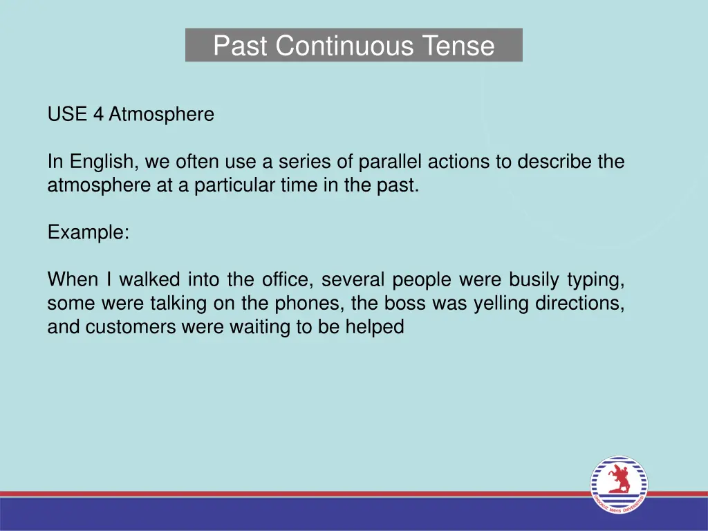 past continuous tense 4