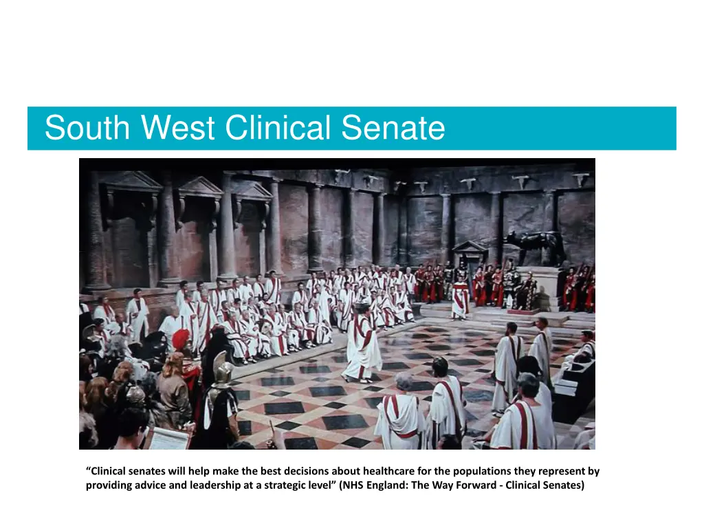 south west clinical senate 1