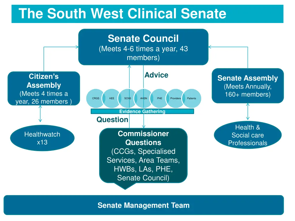 the south west clinical senate