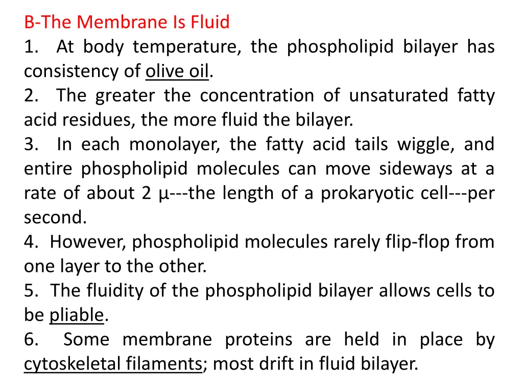 b the membrane is fluid 1 at body temperature