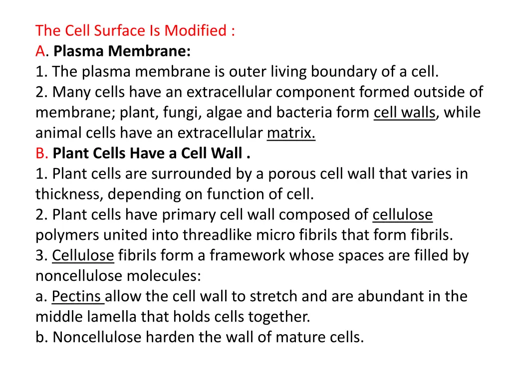 the cell surface is modified a plasma membrane