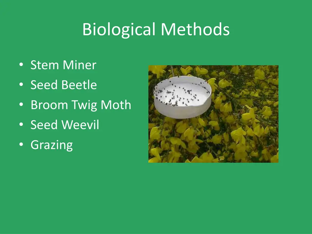 biological methods